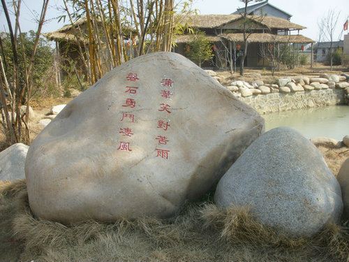 星空综合股份(中国)