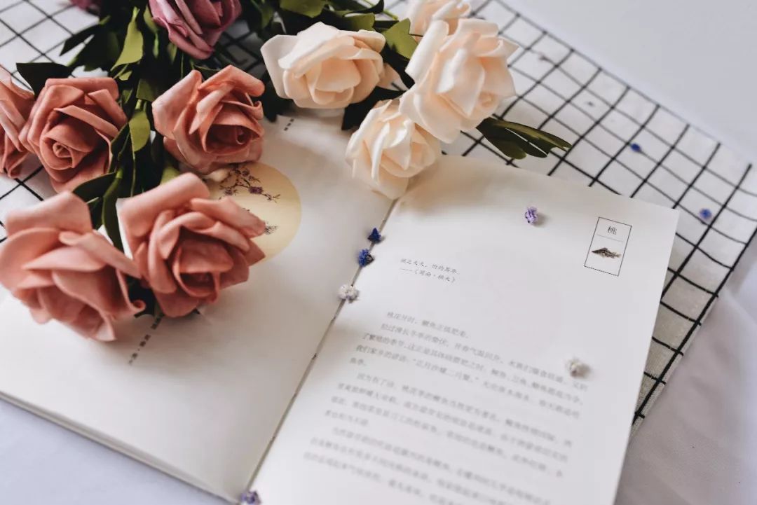 星空·综合(体育中国)