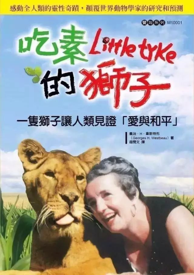 星空综合股份(中国)