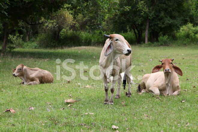 星空·综合(体育中国)