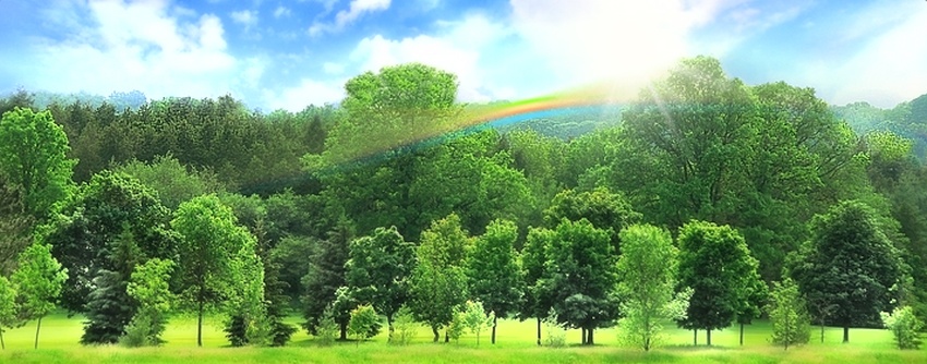 星空综合股份(中国)